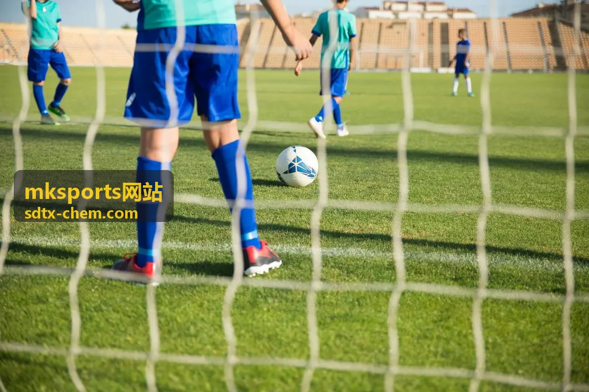 mksports网站运动场地材料与铺装交付相关资料图