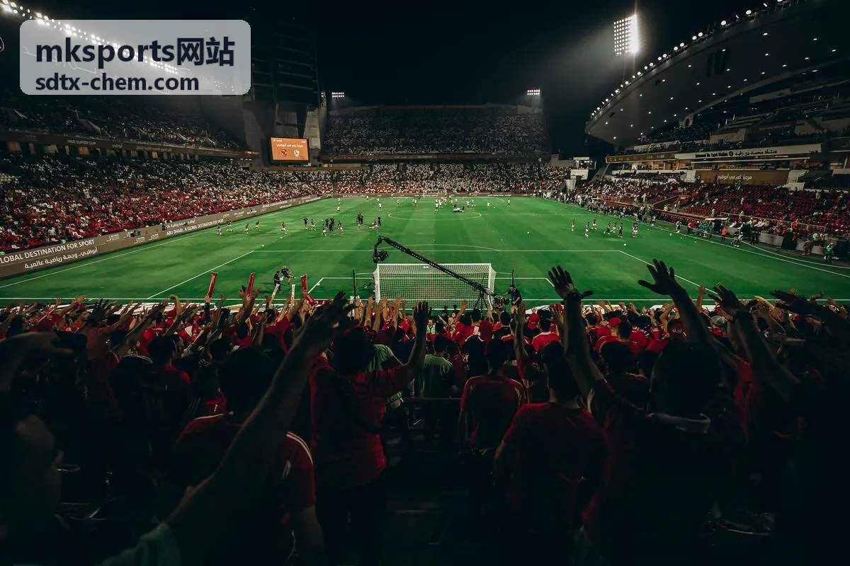 mksports网站跑道弹性层材料规格图