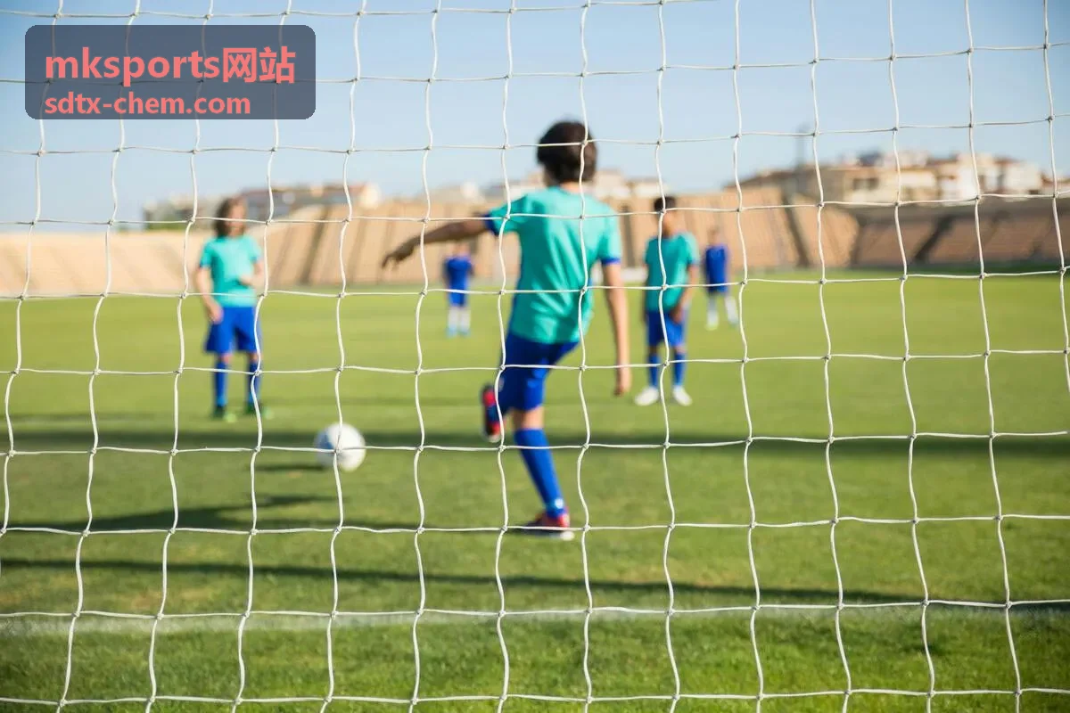 mksports网站球场面层材料检测项目配图
